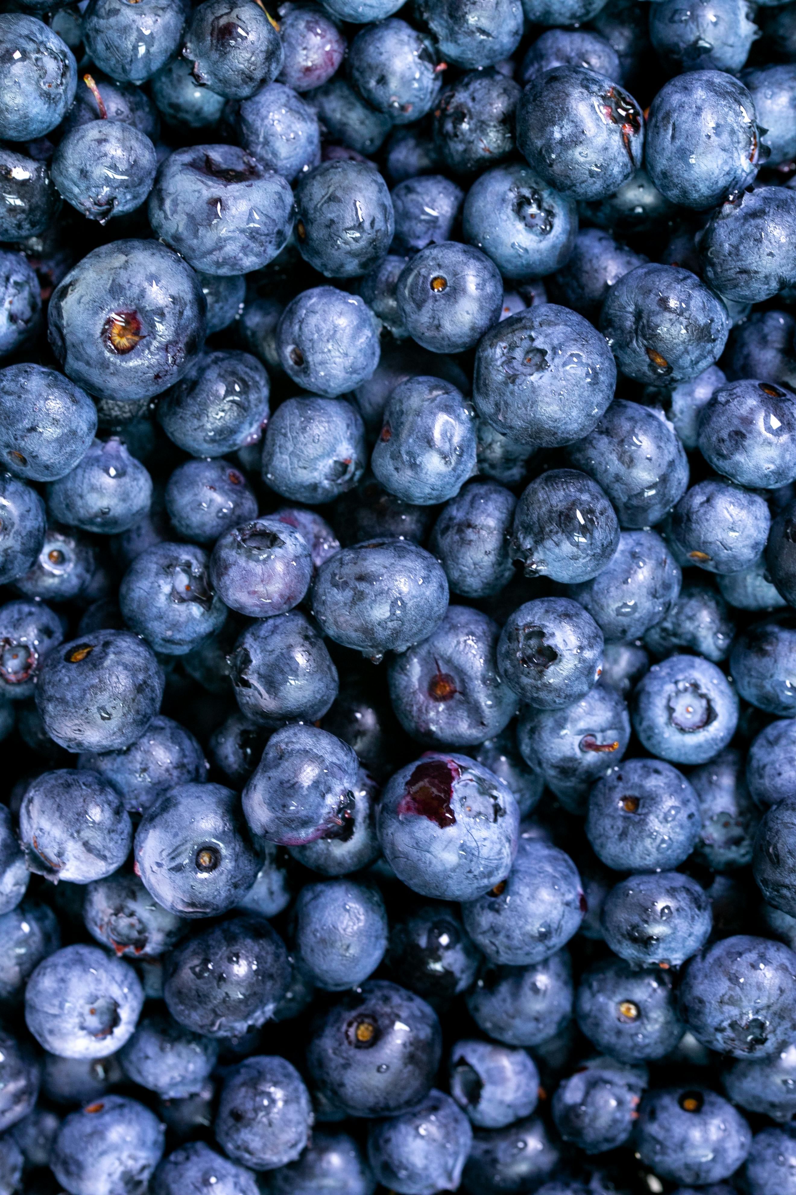 Best 5 Keto Snacks to Consider for Optimal Energy in 2025