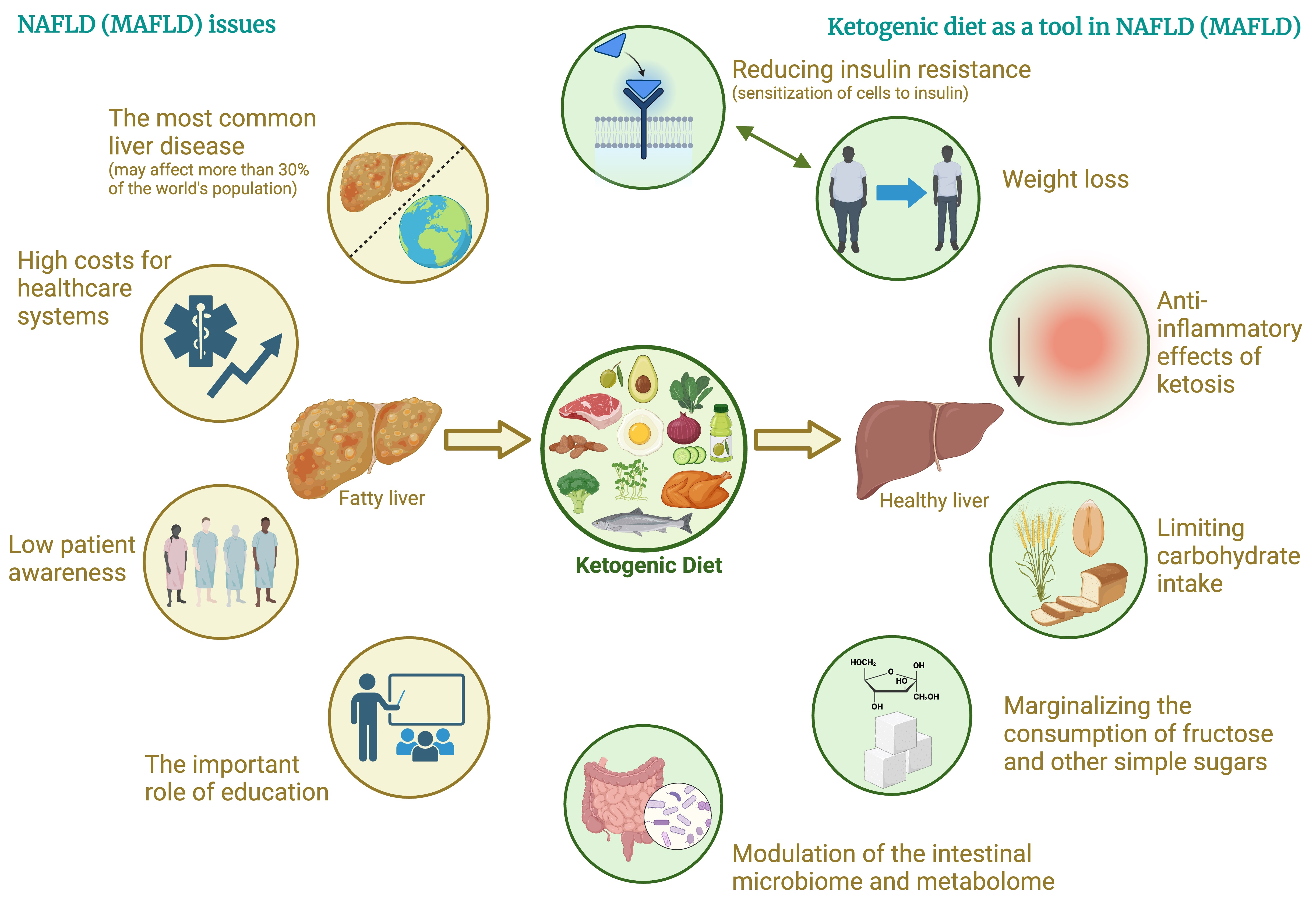 Keto Diet Impact